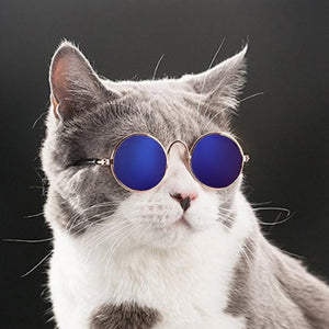 Super Cool & Funky Cat Glasses - Free Today