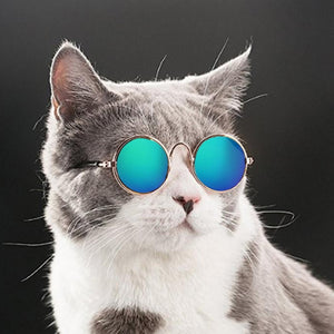 Super Cool & Funky Cat Glasses - Free Today